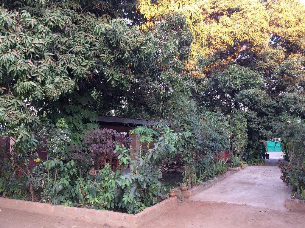 Tabonina Guesthouse Livingstone Ngoại thất bức ảnh