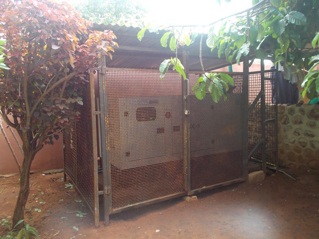 Tabonina Guesthouse Livingstone Ngoại thất bức ảnh