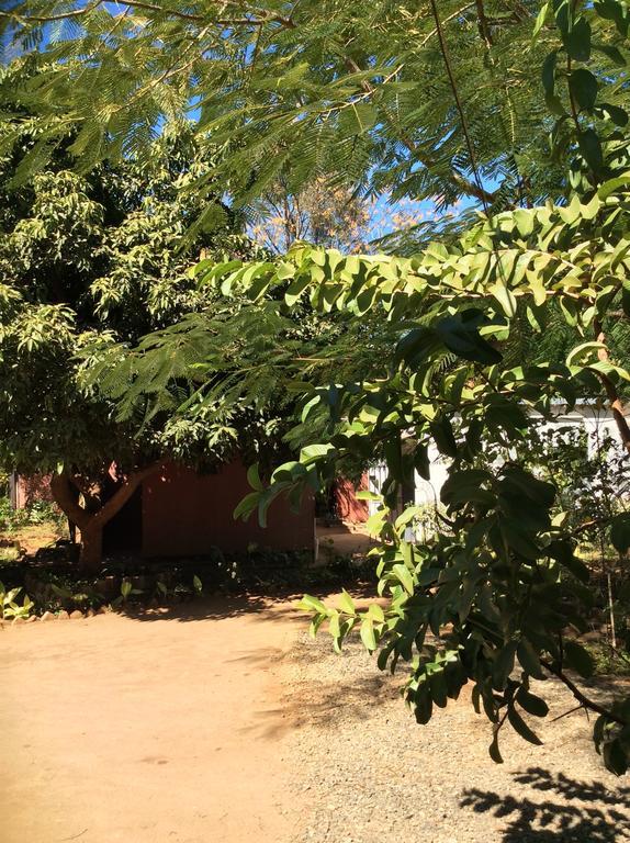 Tabonina Guesthouse Livingstone Ngoại thất bức ảnh