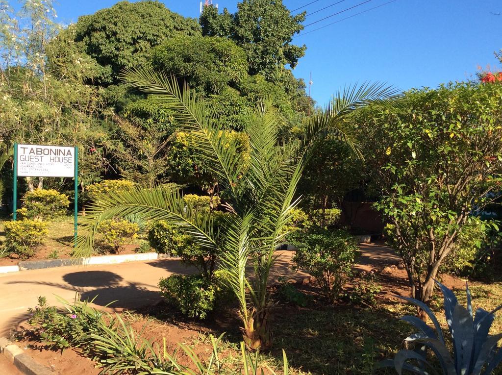 Tabonina Guesthouse Livingstone Ngoại thất bức ảnh