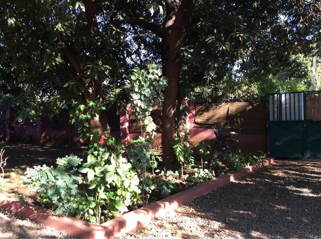 Tabonina Guesthouse Livingstone Ngoại thất bức ảnh